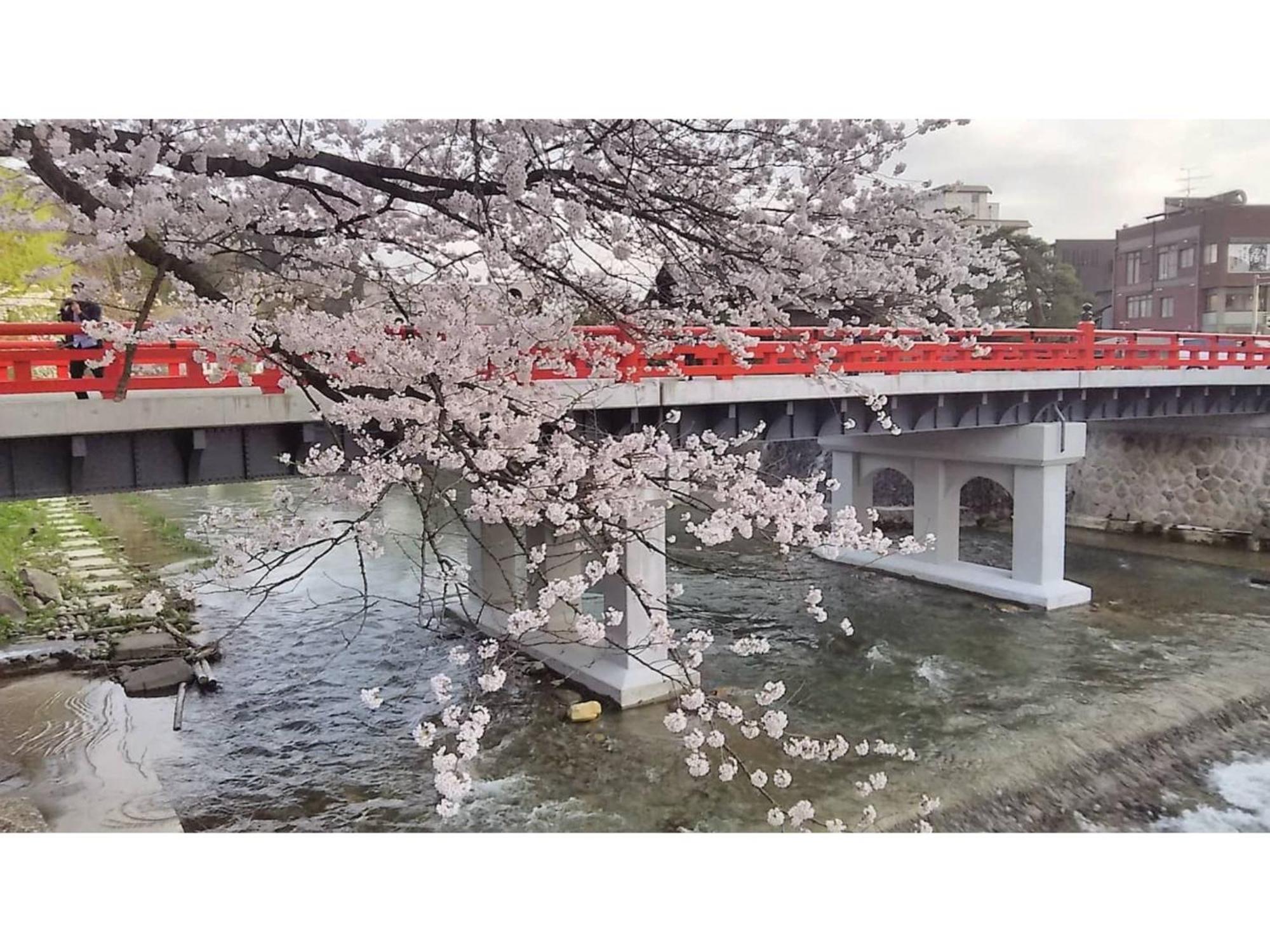 Tomareru Sento Taka No Yu - Vacation Stay 00567V Takayama  Extérieur photo