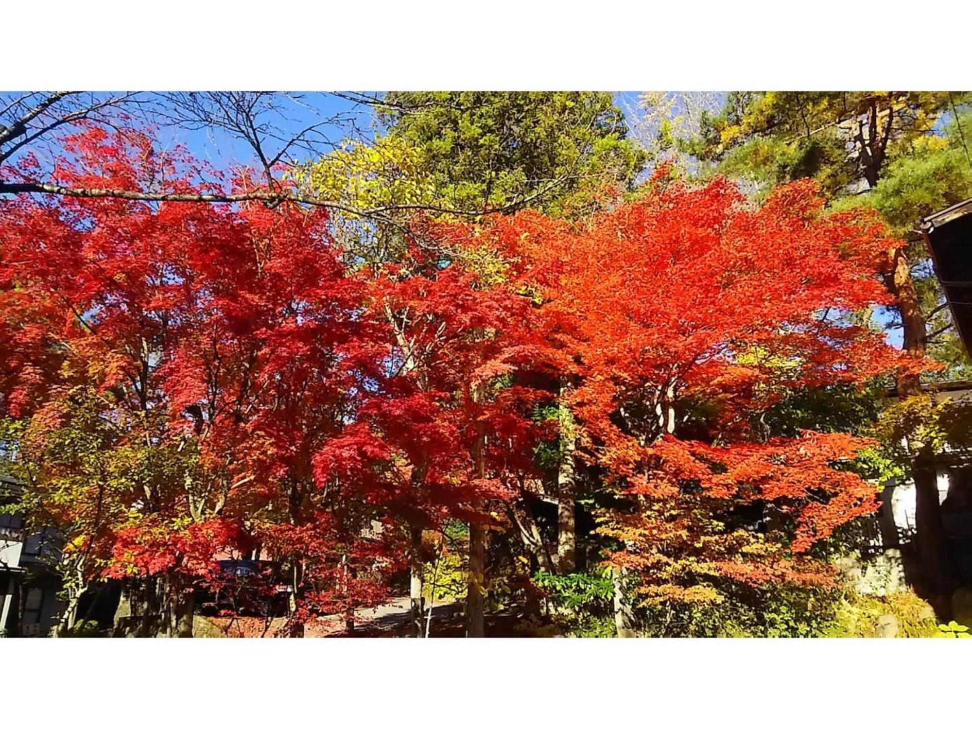 Tomareru Sento Taka No Yu - Vacation Stay 00567V Takayama  Extérieur photo
